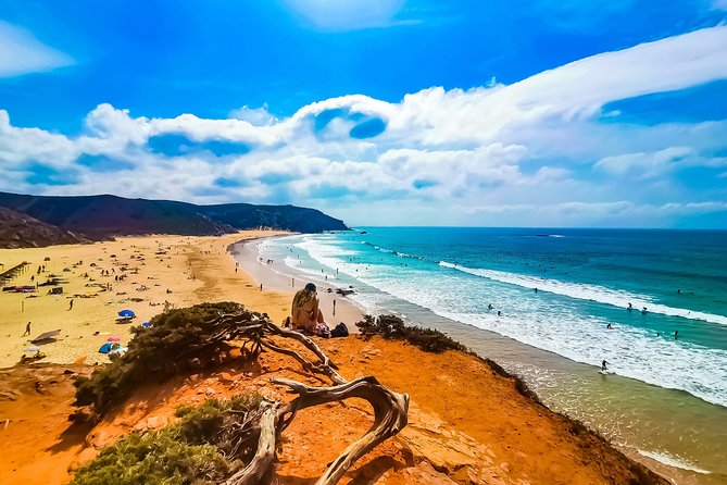 Wild and Wonderful West Coast Full Day Tour - Why this west coast day trip works