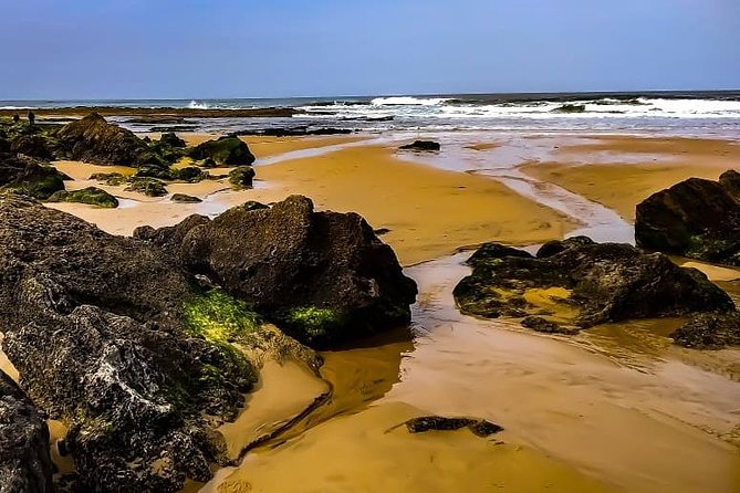 Wild and Wonderful West Coast Full Day Tour - Amado Beach and the power of the Atlantic