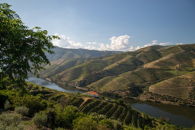 Wine experience with a sommelier - The one-hour Rabelo boat ride