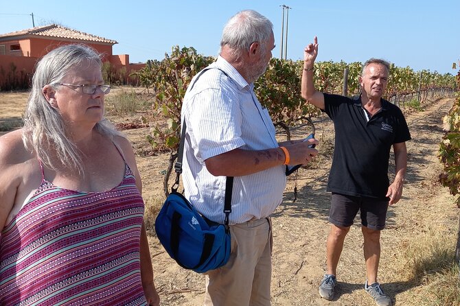 Wine Lovers: Winery Tour w/ Tasting & Tapas (Albufeira/Vilamoura) - The winery visit gives the tour its purpose