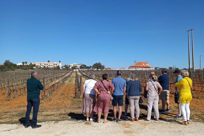 Wine Lovers: Winery Tour w/ Tasting & Tapas (Albufeira/Vilamoura) - Practical tips for a better afternoon