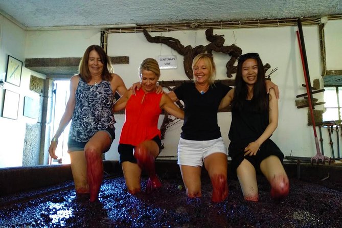 Wine Venture and Boat Trip in Douro Valley from Porto - Who will enjoy this Douro outing most