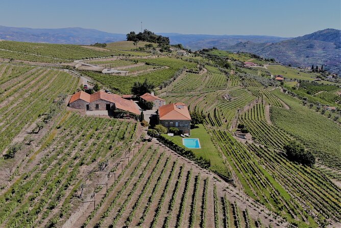 Winery Tour and Wine Tasting Quinta da Portela de Baixo in Lamego - Regional food makes the tasting more satisfying