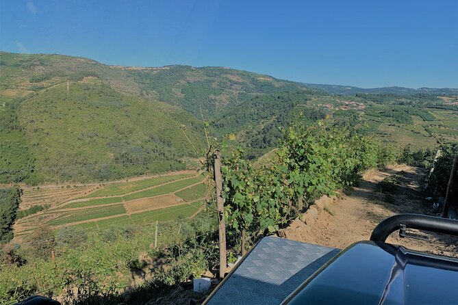 Winery Tour and Wine Tasting Quinta da Portela de Baixo in Lamego - The old winery and wine cellar museum